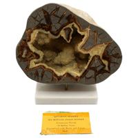 WCO-3556z: Cretaceous Period Calcite Septarian Nodule on Custom Stand